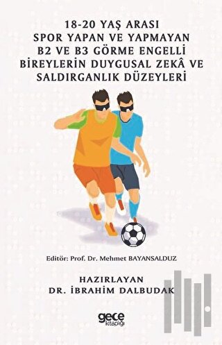 18-20 Yaş Arası Spor Yapan ve Yapmayan B2 ve B3 Görme Engelli Bireyler