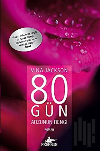 80 Gün Arzunun Rengi | Kitap Ambarı