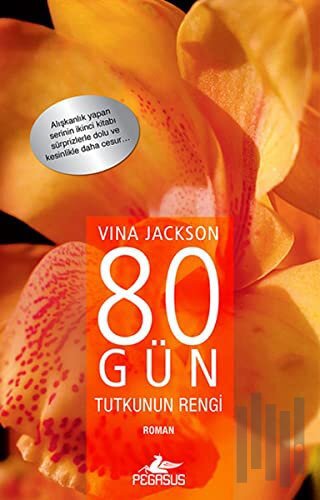 80 Gün Tutkunun Rengi | Kitap Ambarı