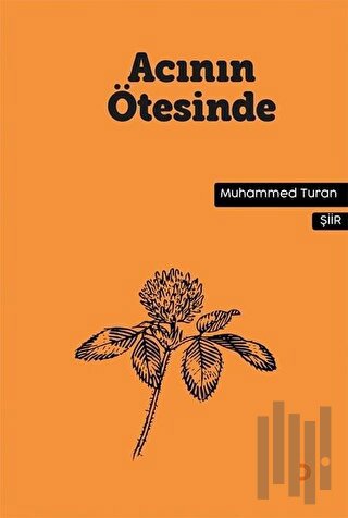 Acının Ötesinde | Kitap Ambarı