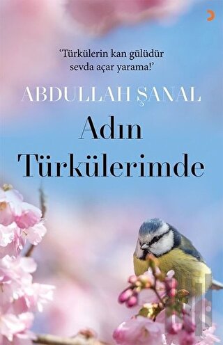 Adın Türkülerimde | Kitap Ambarı