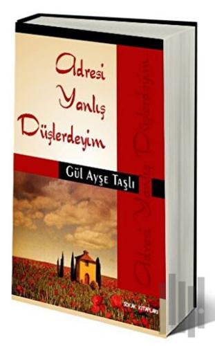 Adresi Yanlış Düşlerdeyim | Kitap Ambarı