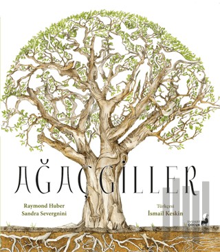 Ağaçgiller | Kitap Ambarı