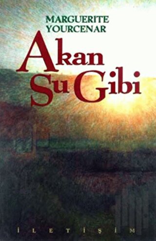 Akan Su Gibi | Kitap Ambarı