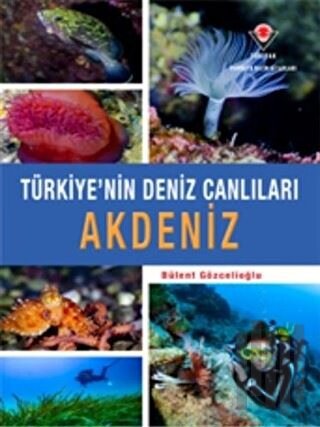 Akdeniz - Türkiye'nin Deniz Canlıları (Ciltli) | Kitap Ambarı