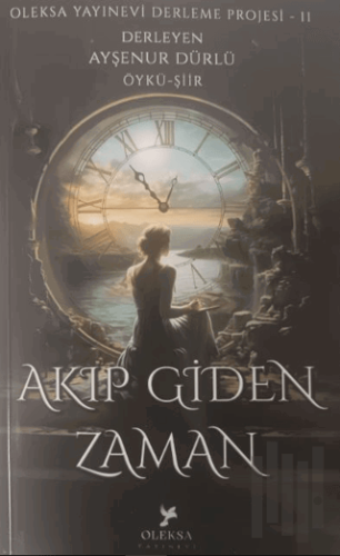 Akıp Giden Zaman | Kitap Ambarı