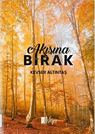 Akışına Bırak | Kitap Ambarı