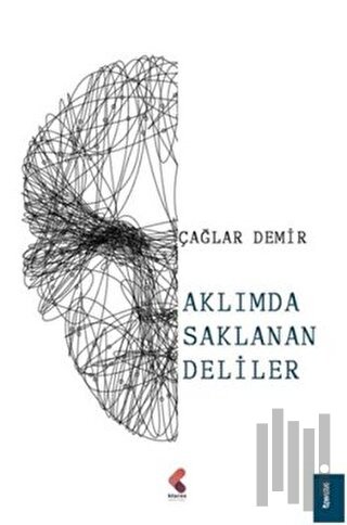 Aklımda Saklanan Deliler | Kitap Ambarı