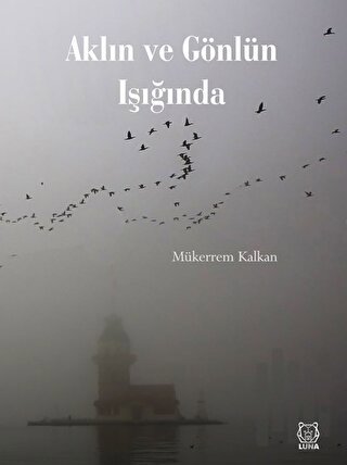 Aklın ve Gönlün Işığında | Kitap Ambarı