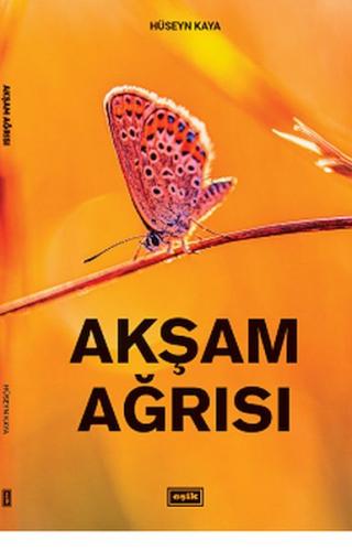 Akşam Ağrısı | Kitap Ambarı