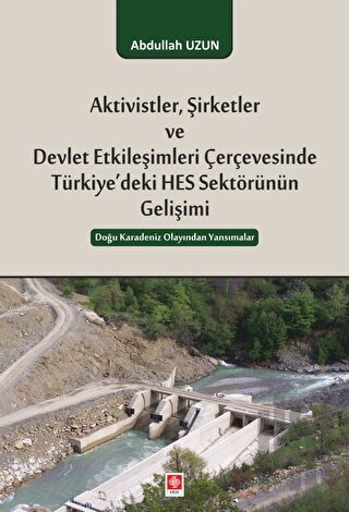 Aktivistler, Şirketler ve Devlet Etkileşimleri Çerçevesinde Türkiye'de