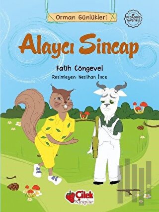 Alaycı Sincap - Orman Günlükleri 10 | Kitap Ambarı