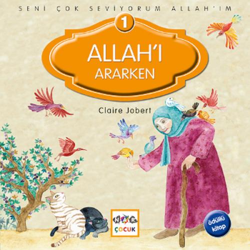 Allahı Ararken | Kitap Ambarı