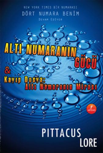 Altı Numaranın Gücü | Kitap Ambarı