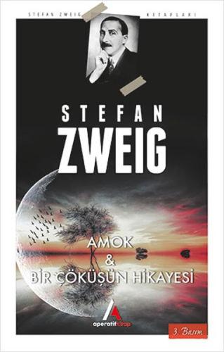 Amok ve Bir Çöküşün Hikayesi | Kitap Ambarı