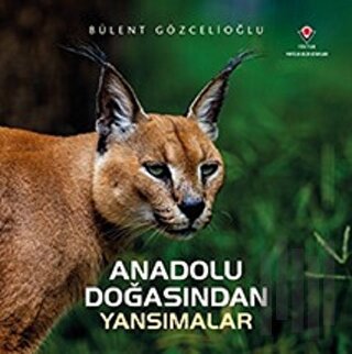 Anadolu Doğasından Yansımalar (Ciltli) | Kitap Ambarı