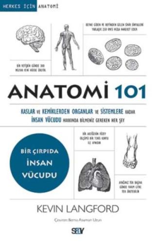 Anatomi 101 | Kitap Ambarı