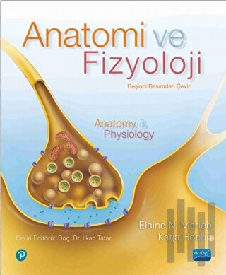 Anatomi ve Fizyoloji | Kitap Ambarı