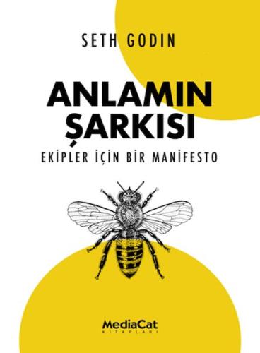 Anlamın Şarkısı | Kitap Ambarı