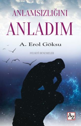 Anlamsızlığını Anladım | Kitap Ambarı