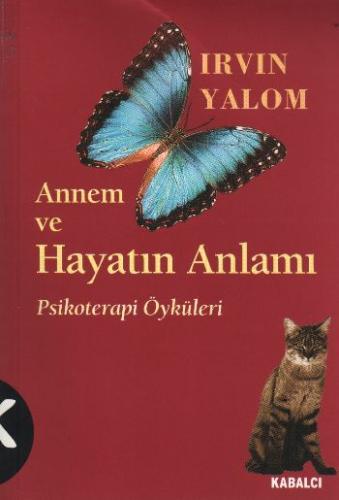 Annem Ve Hayatın Anlamı | Kitap Ambarı