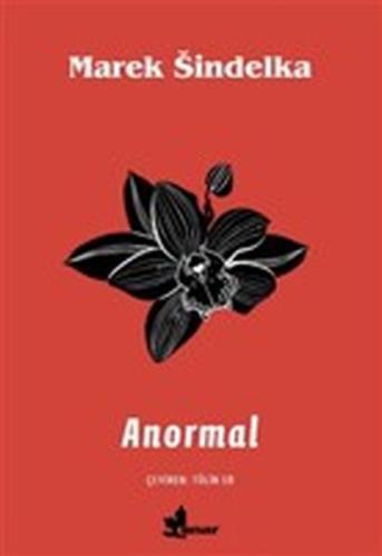 Anormal | Kitap Ambarı