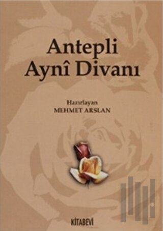 Antepli Ayni Divanı | Kitap Ambarı