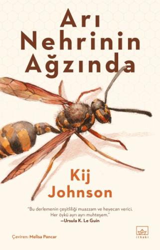 Arı Nehrinin Ağzında | Kitap Ambarı