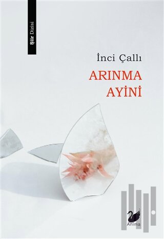 Arınma Ayini | Kitap Ambarı