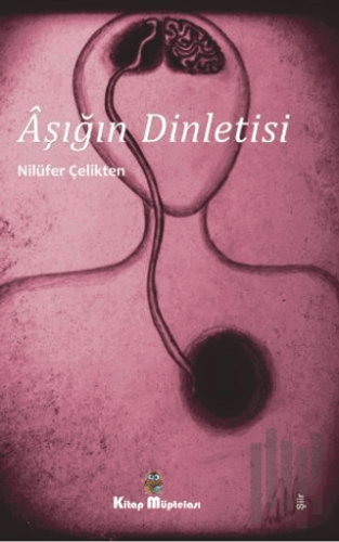 Aşığın Dinletisi | Kitap Ambarı