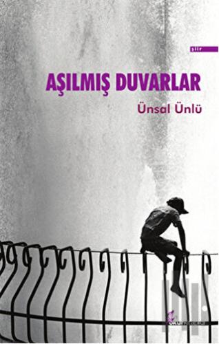 Aşılmış Duvarlar | Kitap Ambarı