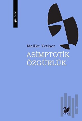 Asimptotik Özgürlük | Kitap Ambarı