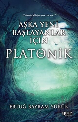 Aşka Yeni Başlayanlar İçin Platonik | Kitap Ambarı