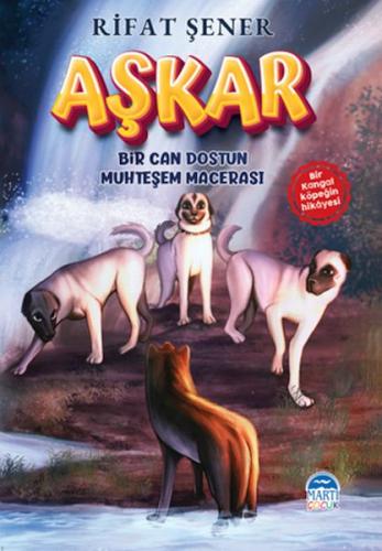 Aşkar | Kitap Ambarı