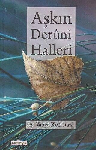 Aşkın Deruni Halleri | Kitap Ambarı