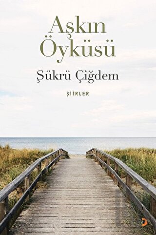 Aşkın Öyküsü | Kitap Ambarı