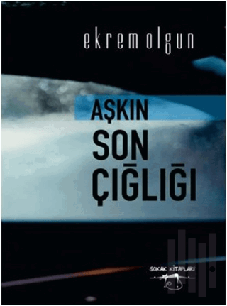 Aşkın Son Çığlığı | Kitap Ambarı