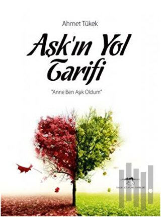 Aşkın Yol Tarifi | Kitap Ambarı