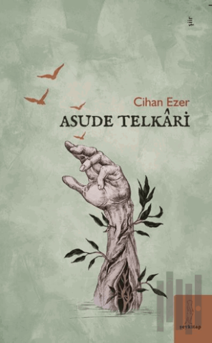 Asude Telkari | Kitap Ambarı