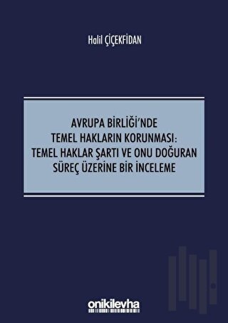 Avrupa Birliği'nde Temel Hakların Korunması: Temel Haklar Şartı ve Onu