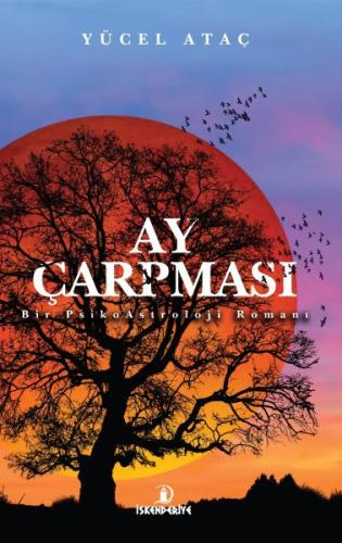 Ay Çarpması | Kitap Ambarı