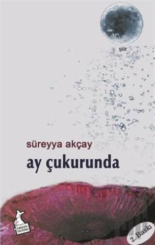 Ay Çukurunda | Kitap Ambarı