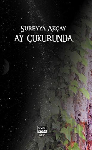 Ay Çukurunda | Kitap Ambarı