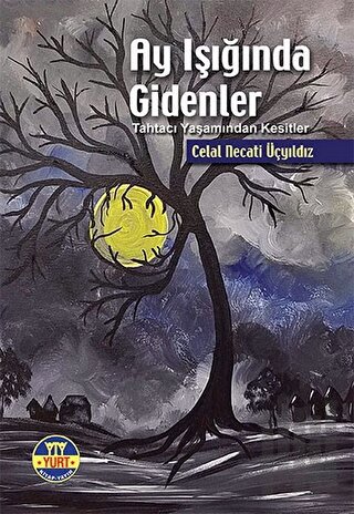 Ay Işığında Gidenler | Kitap Ambarı