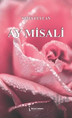 Ay Misali | Kitap Ambarı