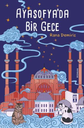 Ayasofya'da Bir Gece | Kitap Ambarı