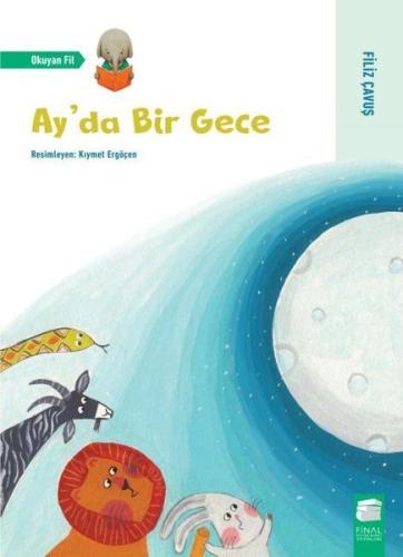 Ay'da Bir Gece | Kitap Ambarı