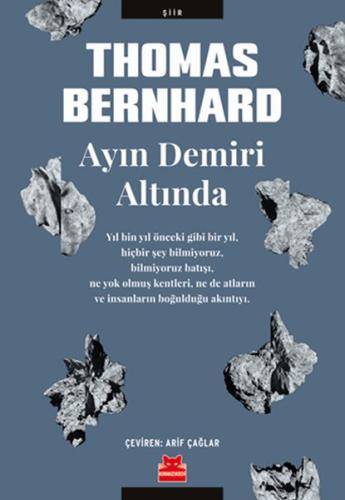 Ayın Demiri Altında | Kitap Ambarı