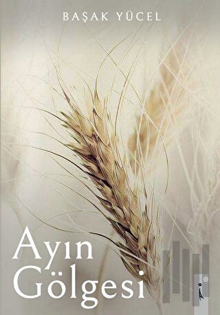 Ayın Gölgesi | Kitap Ambarı