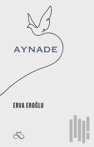 Aynade | Kitap Ambarı